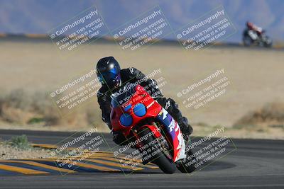 media/Feb-04-2023-SoCal Trackdays (Sat) [[8a776bf2c3]]/Turn 4 (Tree of Life 2pm)/